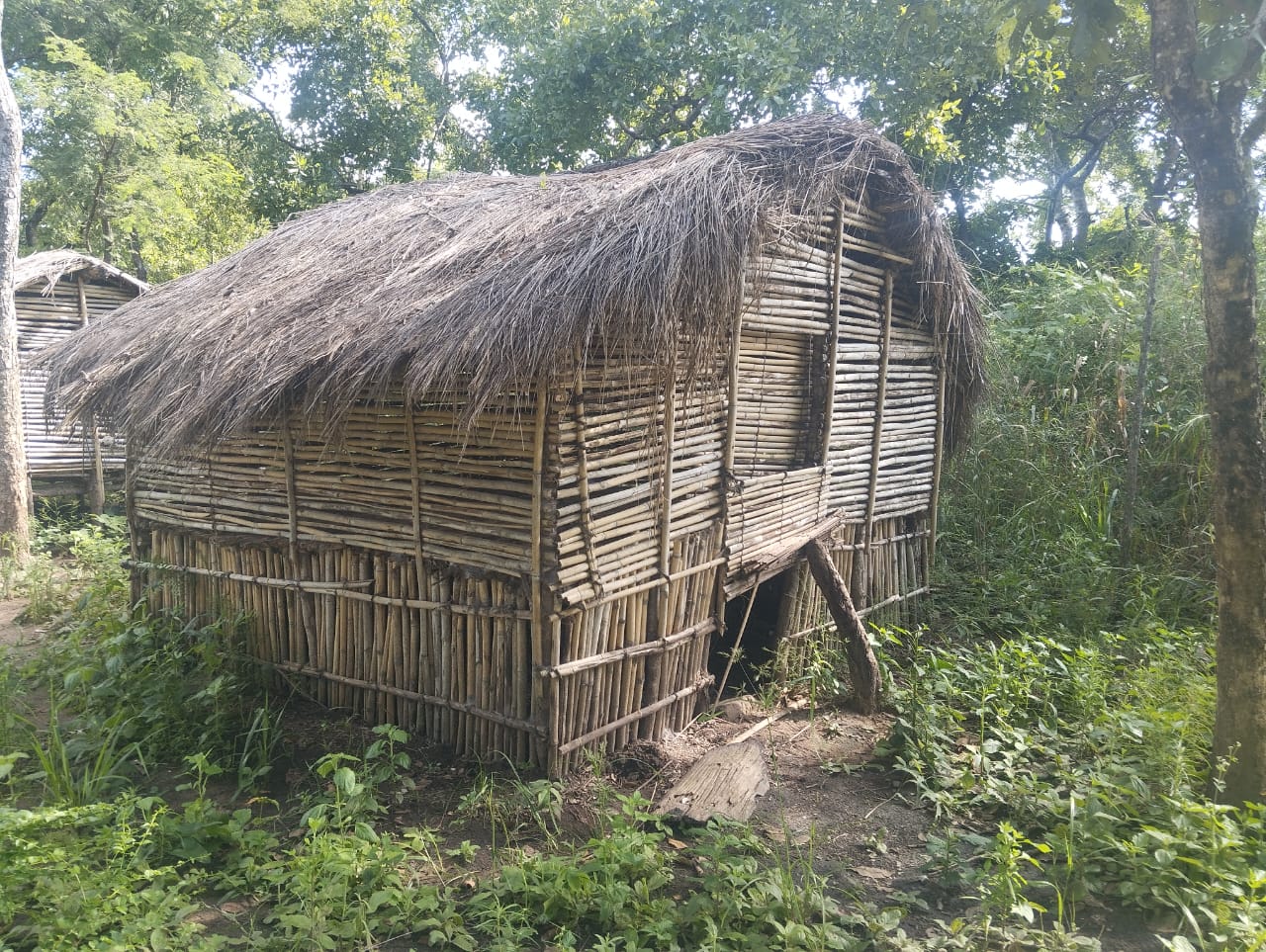 Casa tradicional