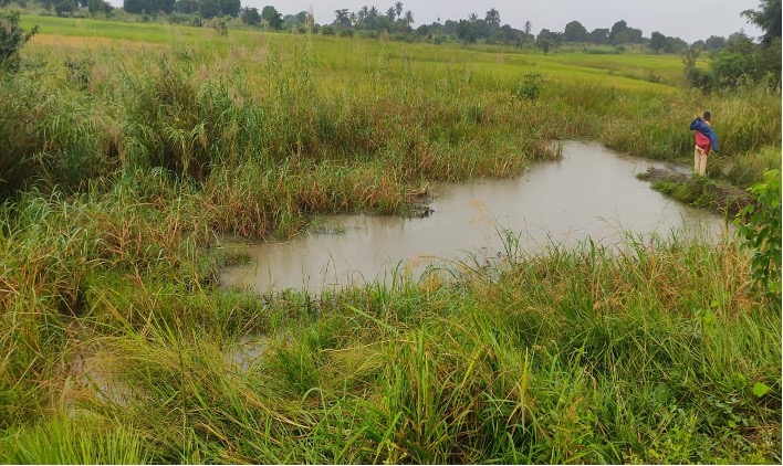 Área inundada