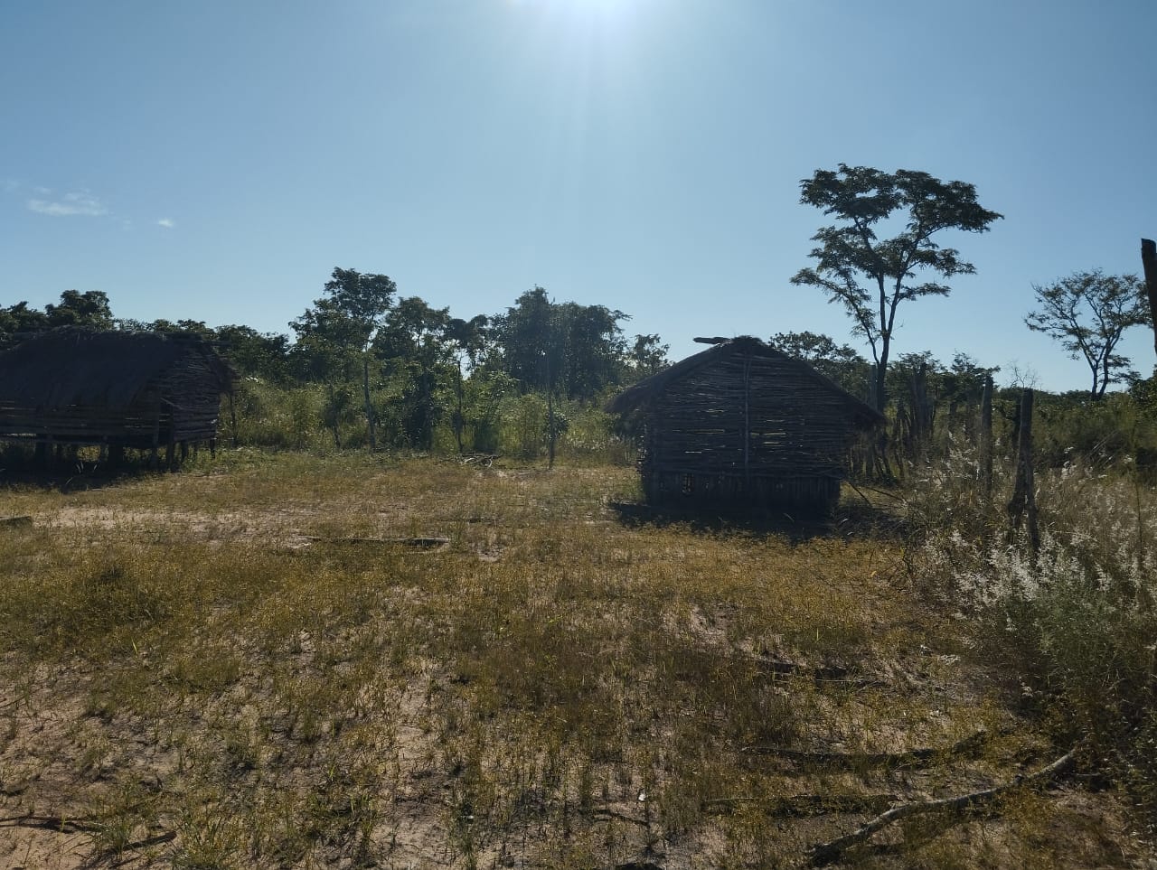 Paisagem rural